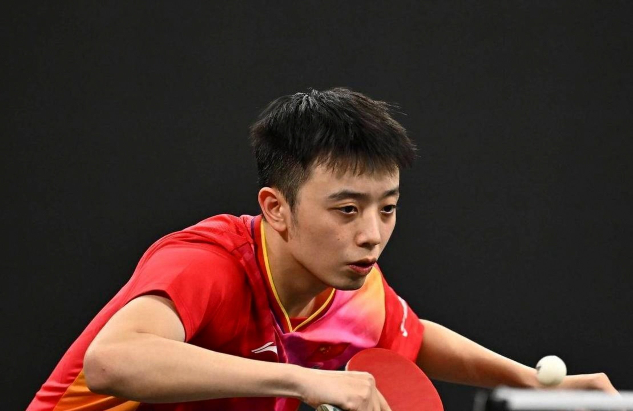 IM体育动画直播通道-韩国乒乓球队横扫比利时乒乓球队，奥恰洛夫高光表现