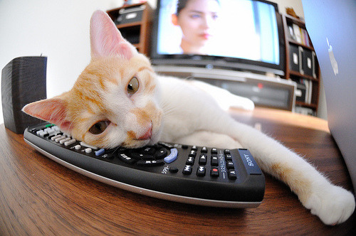 IM体育官方平台-绿茵与硬木的双重奏，当欧冠决赛的焦点战遇上雷霆与步行者的鏖战