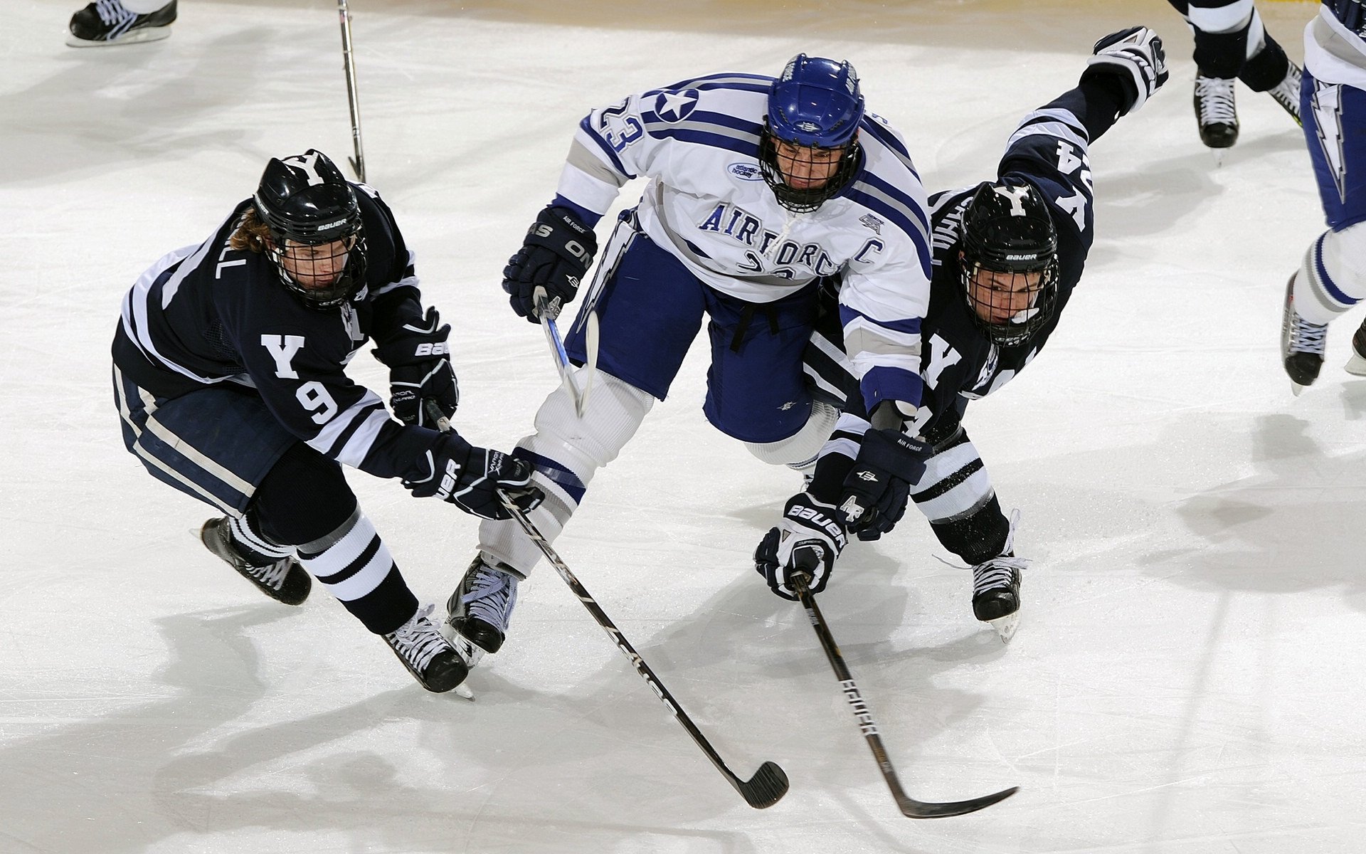 文班亚马,当巴黎的月光照亮麦迪逊的丛林
